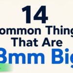 14 Common Things That Are 8mm Big