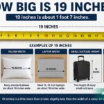 How Big Is 19 Inches? Size Comparisons & Conversions