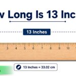 How Long Is 13 Inches? Size, Length & Everyday Examples