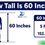 How Tall Is 60 Inches? Feet, CM & Height Comparisons 