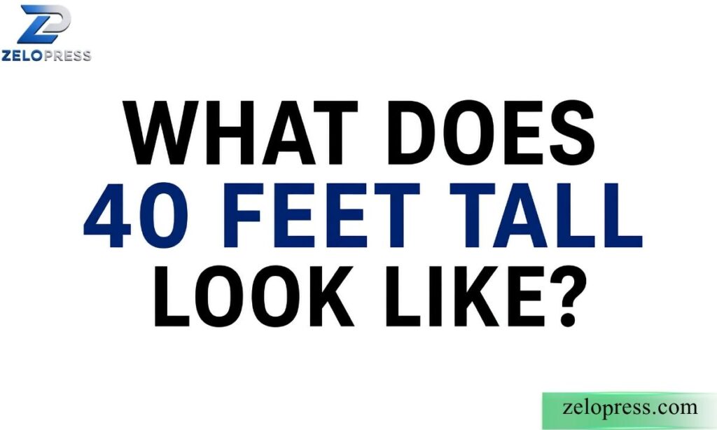 What does 40 feet tall look like?