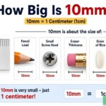 How Big Is 10mm? Common Objects to Compare Its Size 