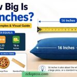 How Big Is 16 Inches?