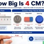 How Big Is 4 CM? Simple Size Comparisons & Examples
