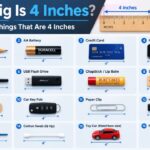 How Big Is 4 Inches? 16 Common Things That Are 4 Inches