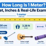 How Long Is 1 Meter? Feet, Inches & Real-Life Examples 