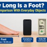 How Long Is a Foot? Size Comparison With Everyday Objects 