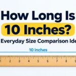 How Long Is 10 Inches? 15 Everyday Size Comparison Ideas