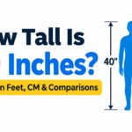 How Tall Is 40 Inches? Height in Feet, CM & Comparisons